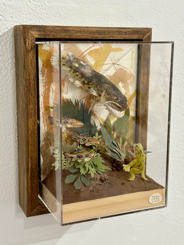 Mixed media diorama style sculpture of a very large, scary fish facing off with a small green frog holding a knife. Green cut paper leaves frame the scene, with small fish swimming nearby.