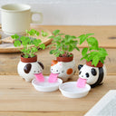 Three cartoon animal planters with small plants on a wooden surface.