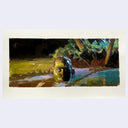 Painting of a green monster/man with only his head visible, the rest is submerged in water.