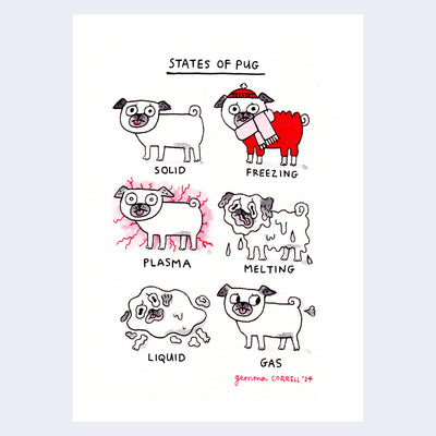 Cartoon style illustration of 6 pugs, all in different states though all with worried facial expressions. States are: solid, freezing, plasma, melting, liquid and gas.