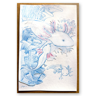 Blue and red pencil illustration of an axolotl swimming amongst coral and with 2 axolotl babies nearby.