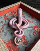 Ceramic sculpture of a reddish purple snake, seen from above. Its body is coiled into a spiral with its tail looping around itself. It sits inside of a wood shadowbox with red floral fabric lining the back and red fabric lining the inner borders.