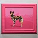 A framed painting featuring an African wild dog illustration in black, white, and tan against a vibrant pink background, housed in a bright pink decorative frame.