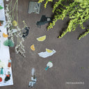 Collage of small illustrations on a textured surface with greenery