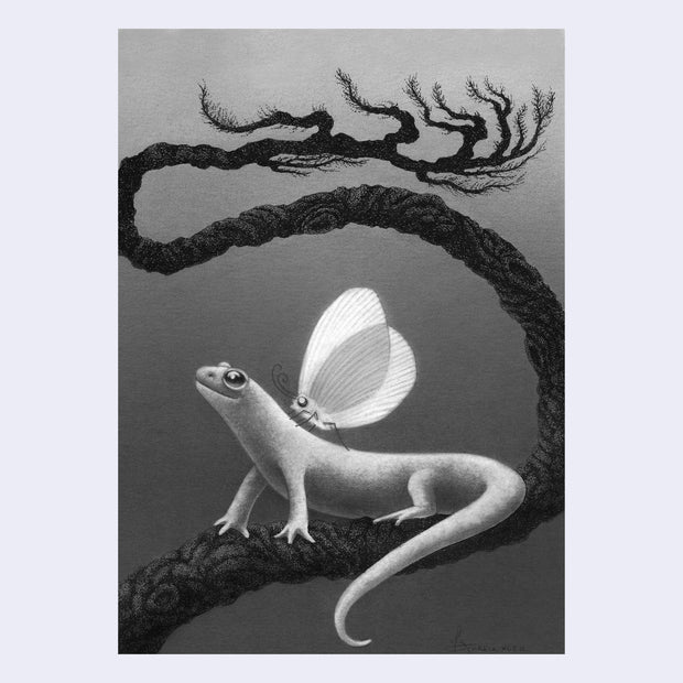 Finely rendered graphite illustration of a small gecko on a a braided thin tree branch, that branches off further behind it. Atop the gecko's back is a white moth.