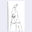 Black and white line drawing of a person wearing a triangle shaped hood with a bird mask.