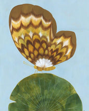 Collage style painting on solid blue paper of a large brown and white moth, visible in profile view with only 1 wing showing. It stands atop of a large half circle made to look like a green lily pad. 