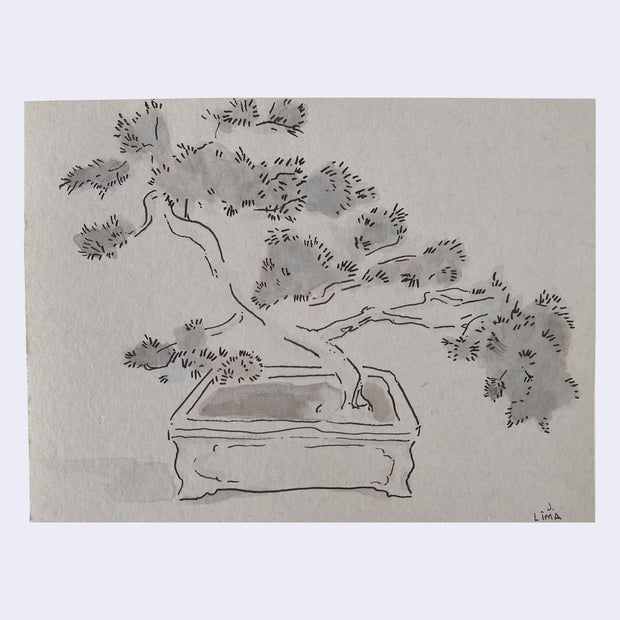 Watercolor sketch of a bonsai tree.