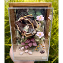 Diorama made of clay and paper of a character napping in a wooden structure in a tree, alongside a napping raccoon. Around them are flowers and a tiny hedgehog family with 3 babies.