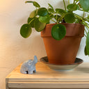 Small ceramic sculpture of an elephant, sitting next to a plant.