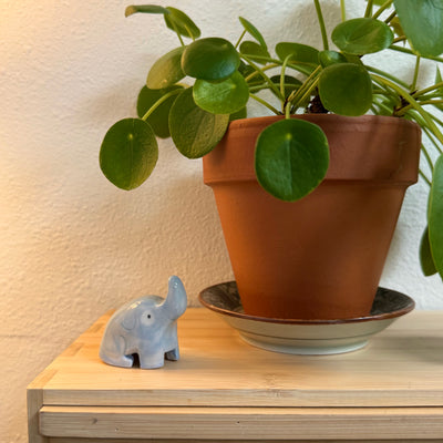 Small ceramic sculpture of an elephant, sitting next to a plant.