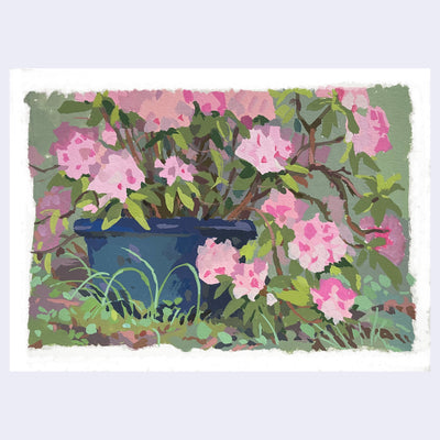 Plein air painting of a plant with many pink flowers in a blue pot.
