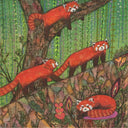 Illustration of red pandas in a forest setting