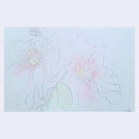 Graphite illustration with faint watercolor coloring of 2 flowers.
