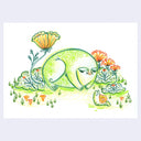 Colored pencil drawing of a chubby cartoon frog in flowers.