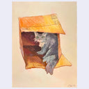 Illustration of a fluffy, gray cat sitting inside of an empty cardboard box that has been turned on its side. The cat looks out suspiciously.