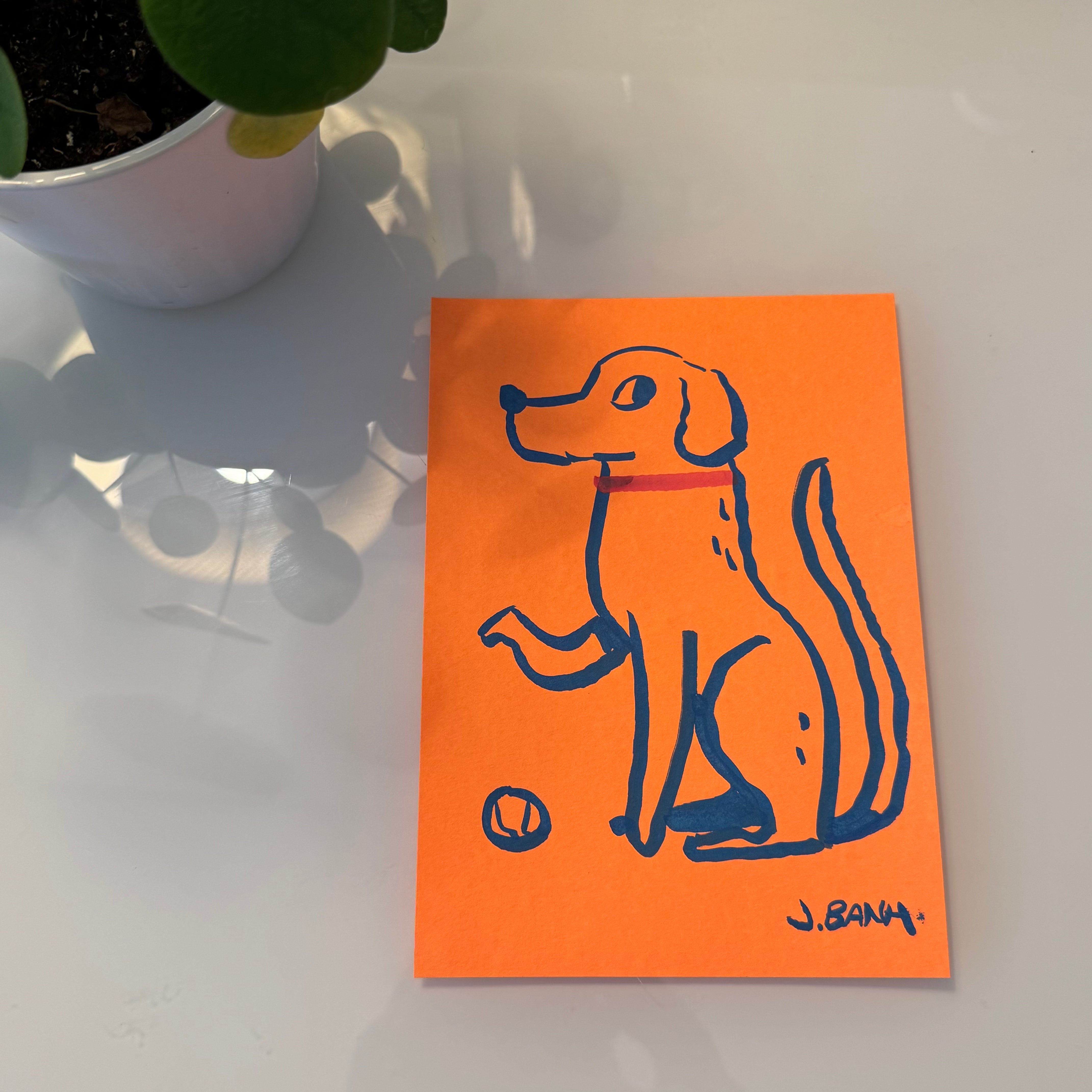 Doggo Show 2025 - John Banh - 