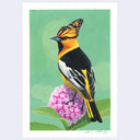 Highly rendered illustration of a yellow and black bird with a monarch butterfly's wings as the top of its head. It sits on a pink flower.