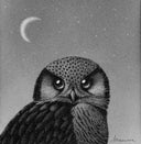 Graphite illustration of an owl, fluffy and finely rendered in a pointillism style. It looks up and off to the side, towards a crescent moon.
