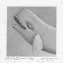 Pencil drawing of a whale with a detailed mouth and eye.