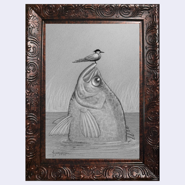 Pencil drawing of a fish with a bird perched on its head. The large fish is half emerged from water with tall grass in the background. Piece is in a decorative frame.