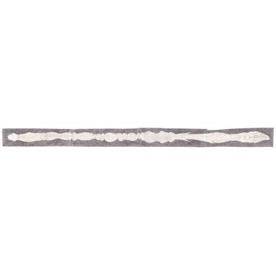 Graphite illustration of a long snake on an extra long piece of paper, spliced together.