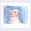 Watercolor sketch of a chihuahua, looking off to the side with a slightly startled expression.