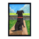 Illustration of a black dog, sitting in an entranceway and facing away from the viewer. It looks out onto a fenced gate, green lawn and street with large blue sky.