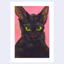 Artwork featuring a painted black cat with bright green eyes against a pink background, shown with a wide white border on a light gray backdrop.