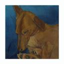 Doggo Show 2026 - #74 - Kathryn Chan - "Trinity"