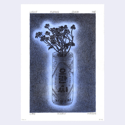 Soft graphite drawing on lilac blue background of a can of a Korean beverage, holding a bouquet of small daisies. Text around the piece reads "Light flows over me like warm water."