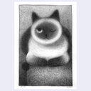 Softly rendered graphite illustration of a cat, mostly white with a dark face, ears and paws resting on a surface with one eye open, the other closed.