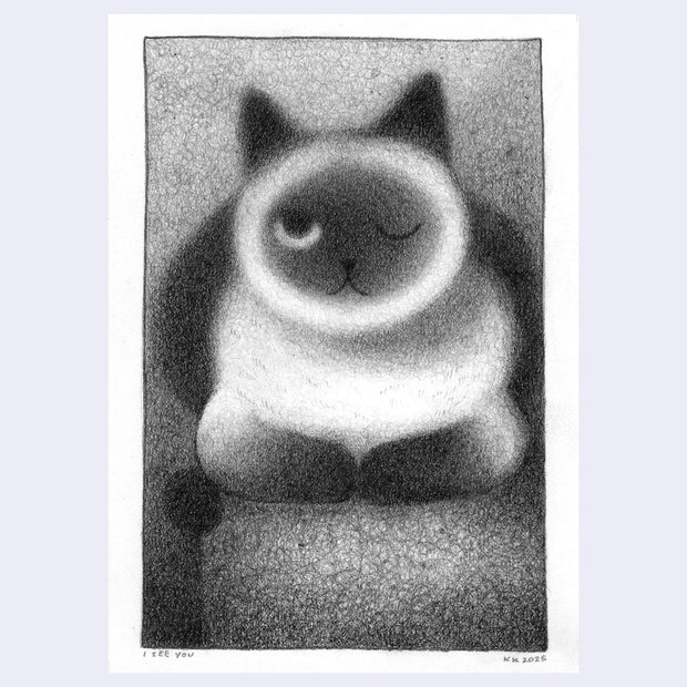 Softly rendered graphite illustration of a cat, mostly white with a dark face, ears and paws resting on a surface with one eye open, the other closed.