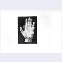 Graphite illustration of a realistic hand, turned up so the palm is visible. A semi transparent leaf rests on the hand.