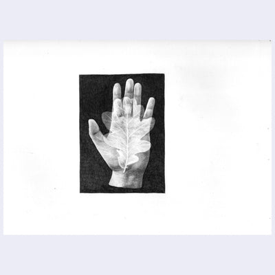 Graphite illustration of a realistic hand, turned up so the palm is visible. A semi transparent leaf rests on the hand.