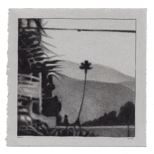 Softly rendered graphite illustration of a window view, mostly silhouettes. A tall palm tree stands under a telephone wire with more palm leaves framing the left side.