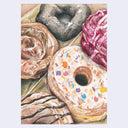 Illustration of various donuts, close up to show textural detail. Donuts include: sprinkles, a cinnamon bun, chocolate and icing.