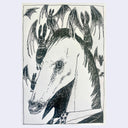 Ink drawing on cream colored paper of a horse head, wearing a suit and seen only from the neck up. Bats fly around it.