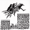 Black and white ink sketch showing three crows with bodies jumping over a chasm that has skeletons in it.