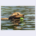 Highly rendered artwork of a dog, a golden lab, swimming in greenish lake water while holding a tennis ball in its mouth.