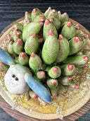 Sculpture of a white and blue sea slug with its back akin to a succulent, green with pink tips. It lays on a round ceramic base that has a green watery sheen.