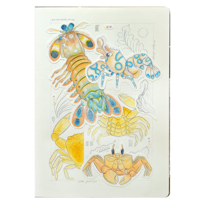 Many illustrations of crustaceans in the color scheme of orange, yellow and blue, cut out and placed together like a collage on cream colored paper.
