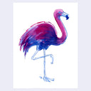 Dark blue and pinkish purple ink illustration of a flamingo, standing on one leg.