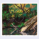 A landscape painting of Mill Creek, featuring a lush forest with green and yellow foliage, a large rock in the foreground, and dark water. 