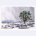 A watercolor painting of a snow-covered tree in a winter landscape, with soft gray and white sky, snowy ground, and muted green and brown tones on the tree and foreground.
