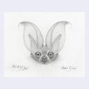 Softly rendered graphite illustration on off white paper of a bat's face, depicted in a cartoon but realistic style.