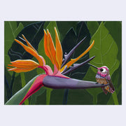 Illustration of a bird of paradise flower, with a small purple cartoon style hummingbird sitting at the end of its blooming. Behind is a background of solid green tropical leaves.