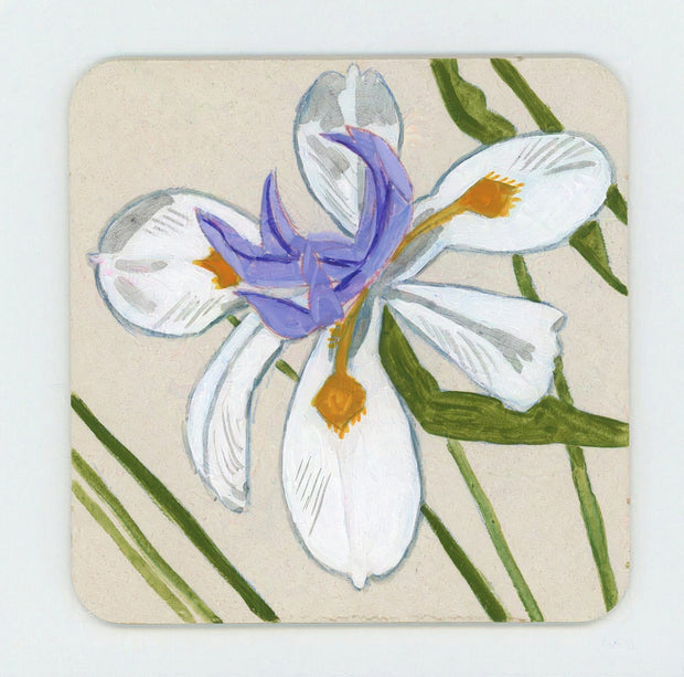 Painting of an iris flower on light tan background.