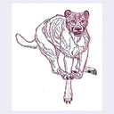 Pink line drawing of a cheetah, running on a white background