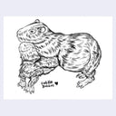 Black and white illustration of two capybaras with 'Cuddle Buddies' text on a light purple background